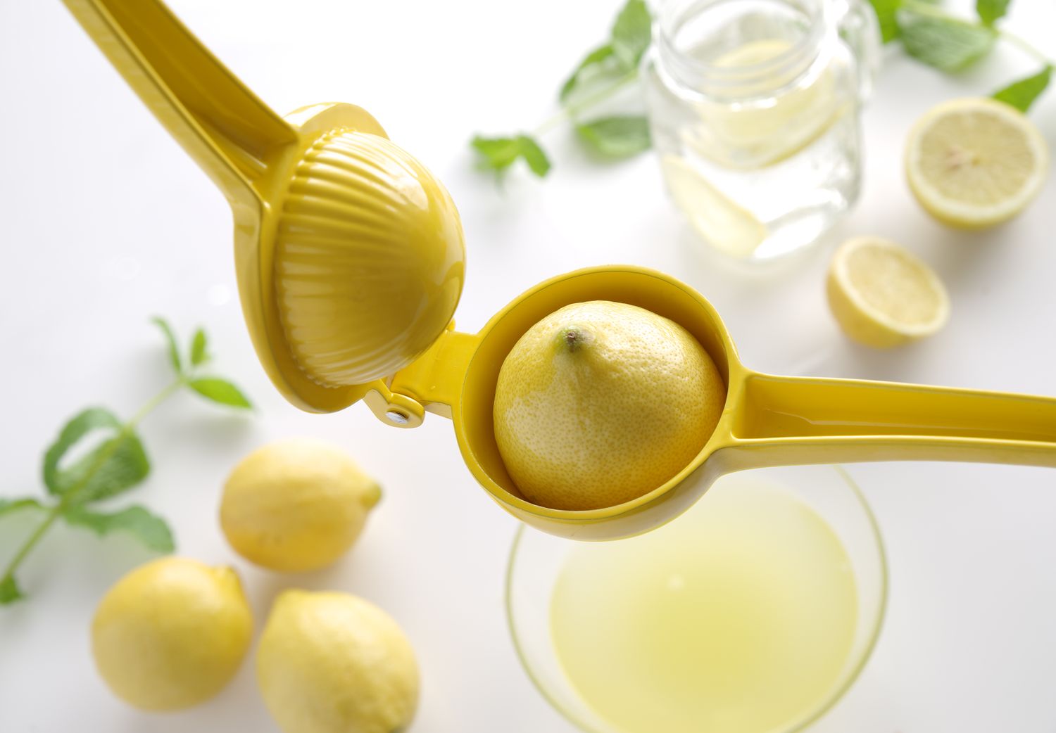 Lis na citrusy, BarUp, žlutý (pro citrony, 223x75x(H)45mm)
